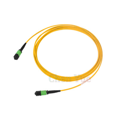 20M MPO/MTP Female Trunk Cable 12 Fibers Type A Singlemode Fiber Patch Cord