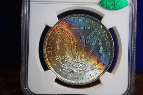 1896 Toned Morgan Silver Dollar NGC MS 64 STAR