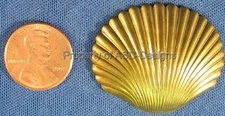 6pc Raw Brass Nautical Seashell Scallop Shell Finding 5256