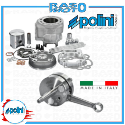 Maxi Kit Polini Minarelli AM6 D.52 C.44 Thermogruppe VENT LOW 50 EURO4/5