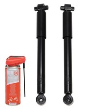 2x Ammortizzatori + Olio multifunzionale Posteriori per FORD FOCUS II Turnier