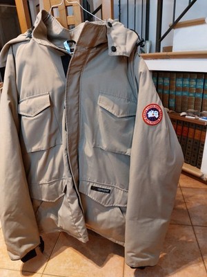 canada goose