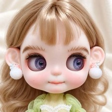 Custom Icy Doll OOAK Artist Full Set Blythe Type Doll