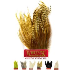 Whiting Farms Bugger Pack Plumas Hackle Atar Moscas Grizzly Negro Marrón