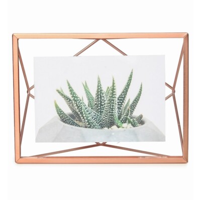 Umbra Prisma 4'' x 6'' Floating Photo Display, Copper