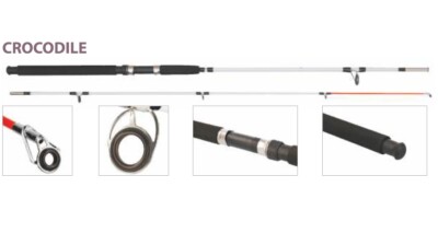 2,40 Spinnrute Spinrute Hard Karpfenrute Meeresrute 100-250g CROCODILE 110034