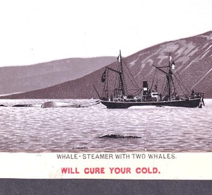 Whale Steamer 1800's Arctic Whaling Ship Red Cross Cough Ad Victorian Trade Card