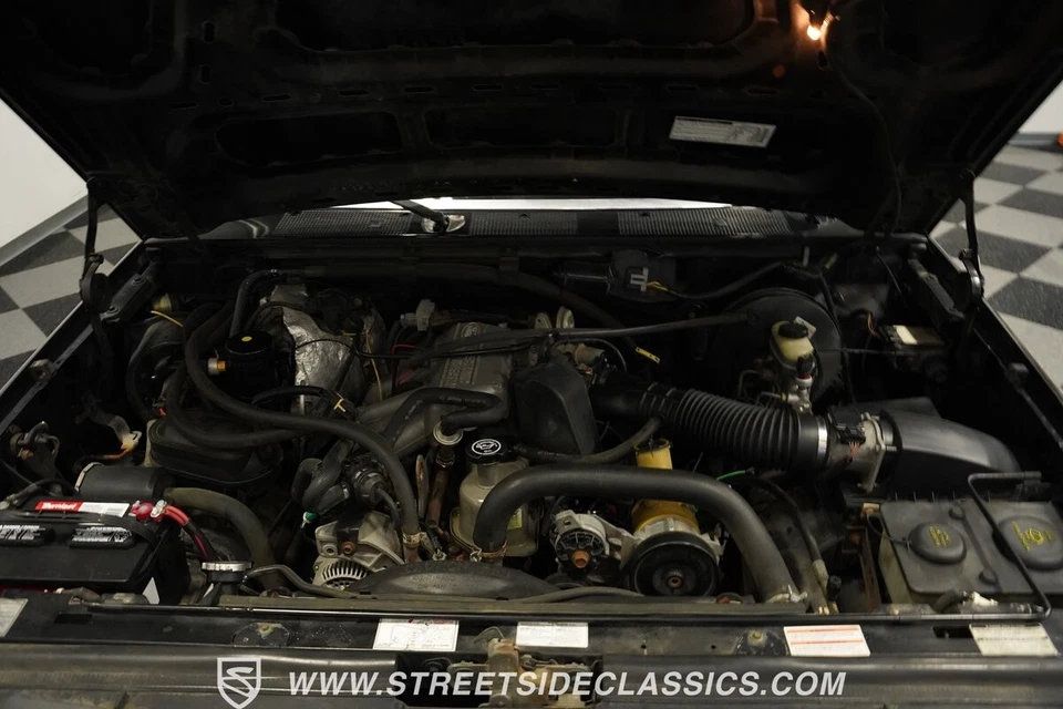 1996 Ford F-150 XLT - Image 4 of 4