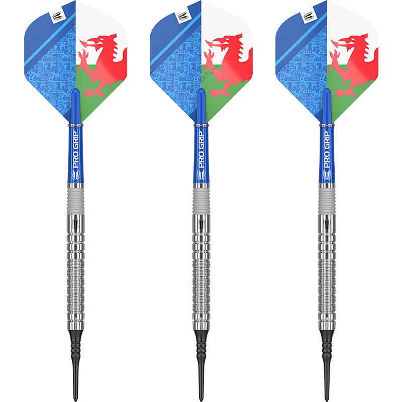 Target Softdarts Levy Williams The Prince of Wales Gen 1 90 Tungsten Dartpfeile 13590₽