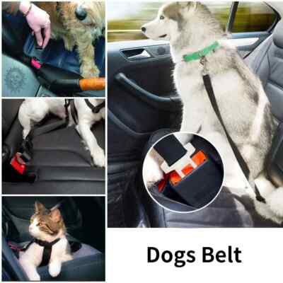   Ceinture de Sécurité pour Chiens et Chats   