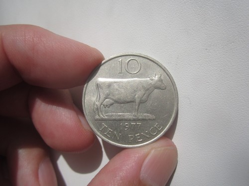 SCHÖNE GRADE 1977 GUERNSEY 10 PENCE - Bild 2 von 2