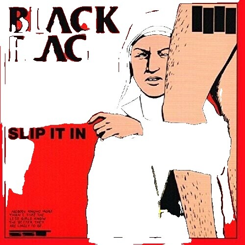 Black Flag Slip It in | eBay