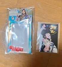 Nuovo Giappone Pro-Wrestling "Hiroshi Tanahashi Cartella e Foto Card"