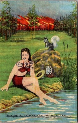 Forest Fire Prevention Pinup Girl Postcard Larsen Art Wildlife Conservation