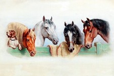 Dog and four horses C. Reichert Tile Mural Kitchen Backsplash Art Marble Ceramic