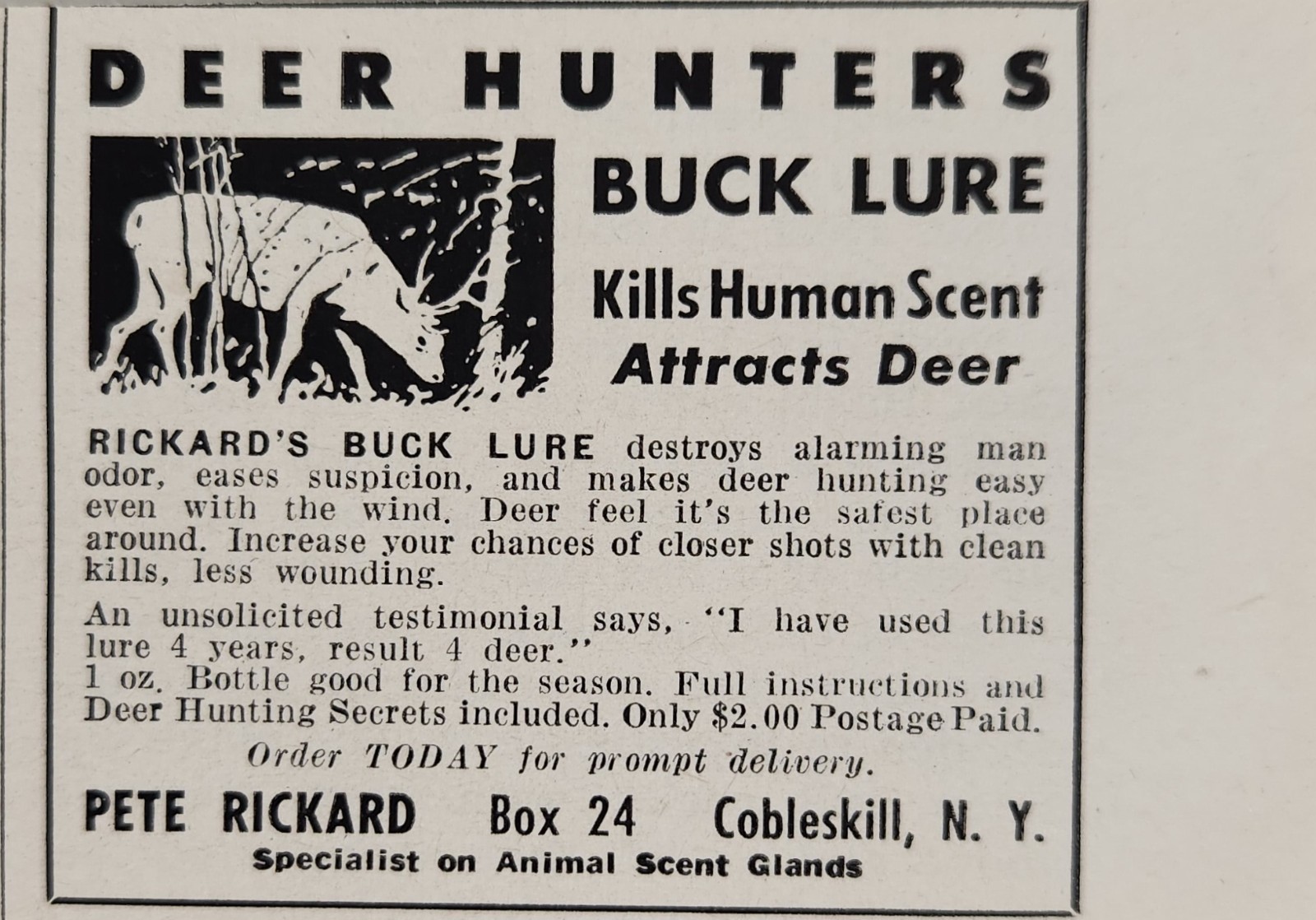 1955 Print Ad Pete Rickard Deer Hunter Buck Lure Kills Human Scent Cobleskill,NY