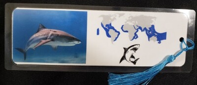 Shark Species Bookmark - Hand Made - Choose Species - 5 ml thick - 8'' x 3''