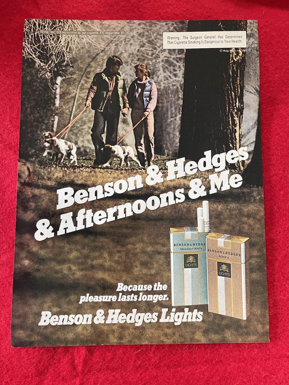 Benson & Hedges Cigarettes 1982 Print Ad Couple Walking Dogs