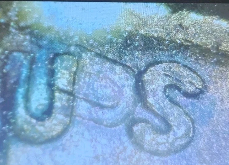 ERROR ALERT ⚠️ 📢 😳 1954D WHEAT TONED CENT - Image 3 of 4