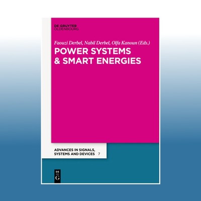 Power Electrical Systems | Faouzi Derbel