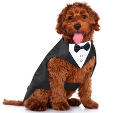 Dog Tuxedo, Formal Dog Wedding Attire Pet Costume Pet Suit and Bandana Set, B...