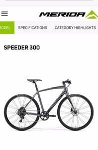 merida speeder 300 2019
