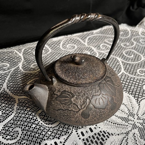 Nambu Ironware, Teapot With Strainer. Ivy Pattern 2c Size.