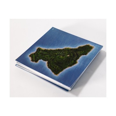 WotC Axis & Allies Axis & Allies Map Collection #12 - 30+ Islands! NM