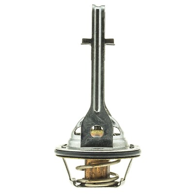 Engine Coolant Thermostat-VIN: 0 Stant 13818