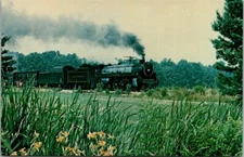 Postcard A 131, Southern 2839, The Royal Hudson near Salt Lick, Kentucky