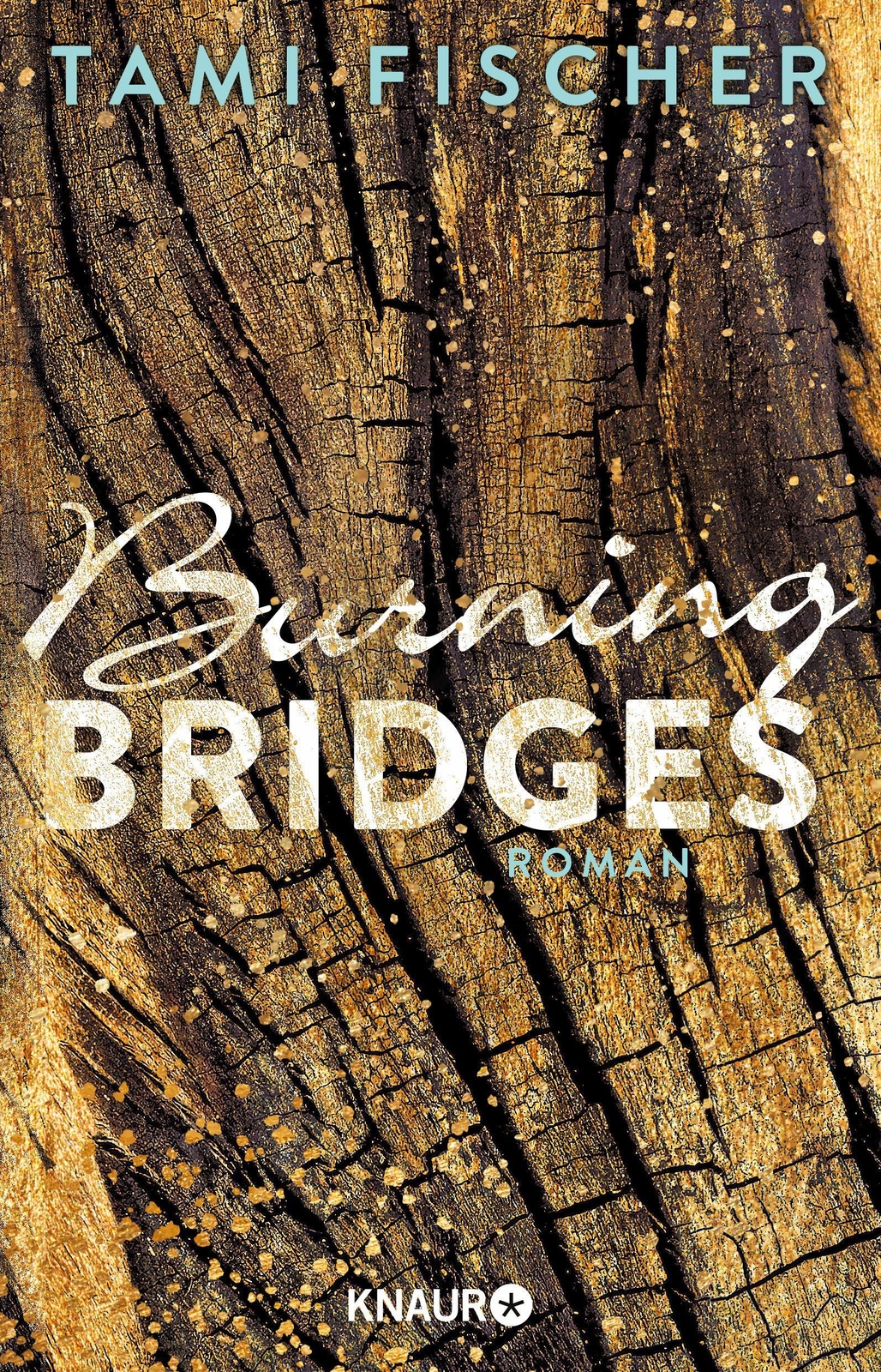 Thumbnail - Burning Bridges