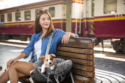 Transporttasche Hundetragetasche Katzentasche Hundetasche Hundetransport Katze - Bild 73 von 93
