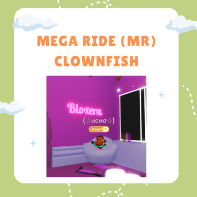 Adopt a MEGA RIDE (MR) Clownfish From Me! *USA Based *FAST Delivery | eBay