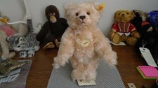 Steiff VTG Rare Classic 1909 Blond Angora Mohair Squeaker All Tags11"