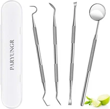 Dental Tools, Professional Teeth Cleaning Oral Care Hygiene Kit, Stainless Steel
