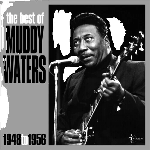 Discos de vinilo muddy waters blues