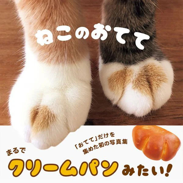 Cat's Hand Hardcover Cute Cat Paw Photography Japan Import