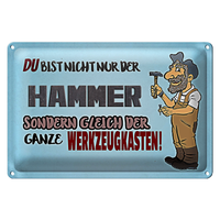 Blechschild Spruch 30X20Cm Du Bist Nicht Nur Der Hammer