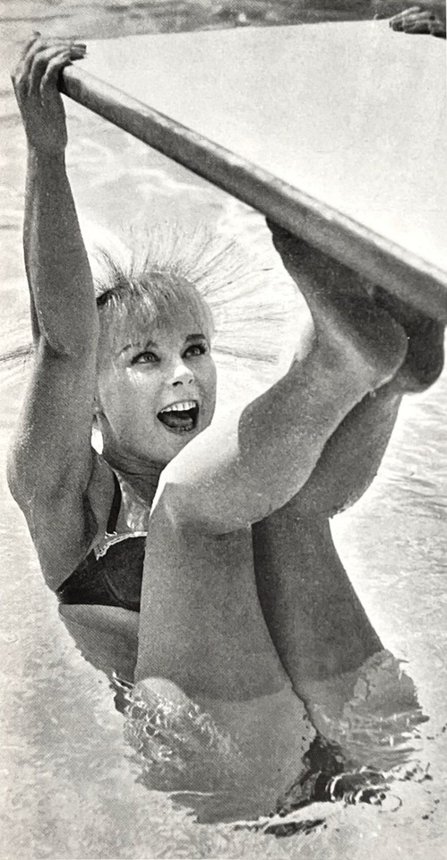 Sexy Elke Sommer Age 22 Hollywood Sweetheart 1963 Portrait Vtg Magazine