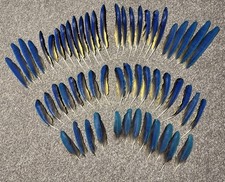 56 plumas de ala de guacamayo azul y dorado