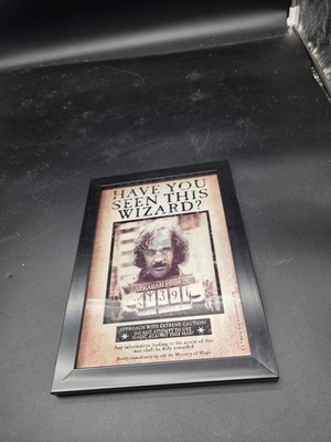 Harry Potter WB SIRIUS BLACK Lenticular Framed Art Have You Seen This Wizard?