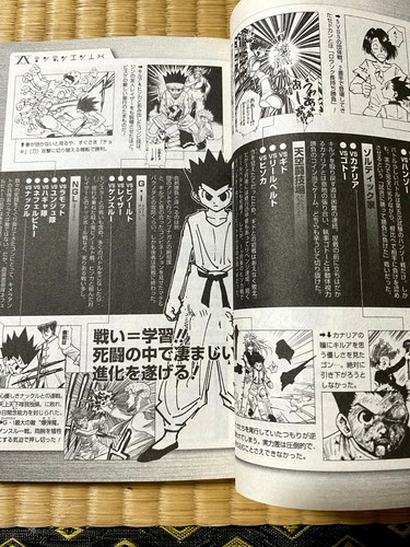 Yoshihiro Togashi Hunter X Hunter Hunter S Guide Data Book Japanese Book Japan Ebay