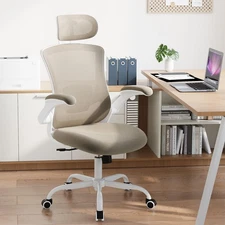 High Back Office Chair with Adjustable Lumbar Support & Headrest, Ergonomic M...