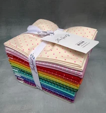 Free Spirit Tula Pink Tiny Coordinates Fat Quarter Bundle 24 Pcs