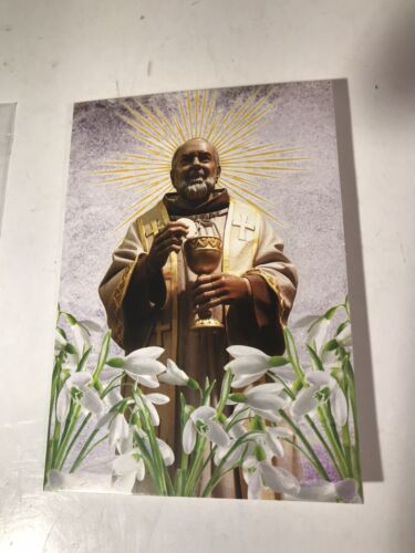 Moneta gettone tascabile color oro San Padre Pio Madonna delle Grazie CARTOLINA preghiera - Foto 2 di 12
