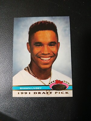 1991 Topps Stadium Club Skydome Shawn Livsey #108