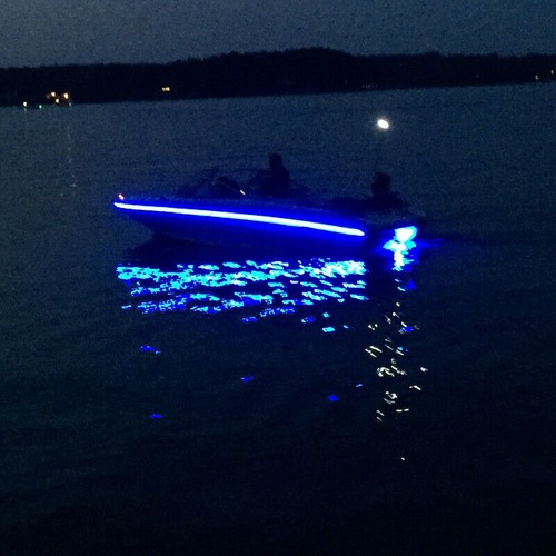 For Waterproof Fishing Kit Boat Light Strip Deck Bow Pontoon SMD 300LED Blue 5M - Picture 3 of 10