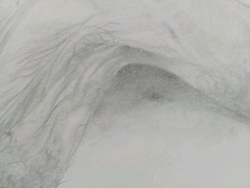 Erotic Fine Art Pencil Penis Drawing Male Genitalia Flaccid Phallus CENSORED - Picture 12 of 24