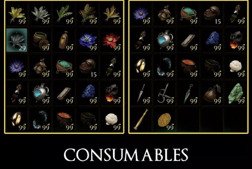 DEMON SOULS REMAKE ALL 100% GAME iTEMS, INCLUDING RUSTED KEY - Picture 11 of 12