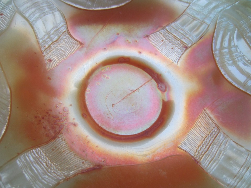 Lovely & Scarce Fenton Carnival Glass Marigold on Custard Prayer Rug